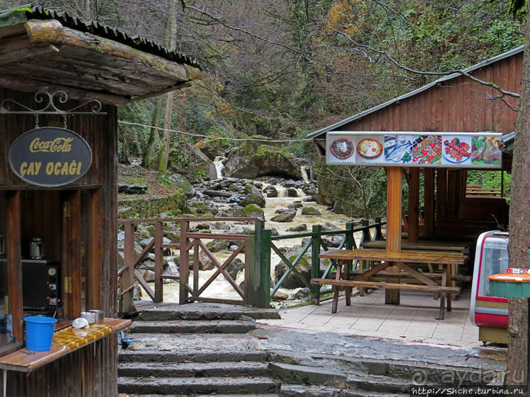 Вторая по вкусу форель в моей жизни