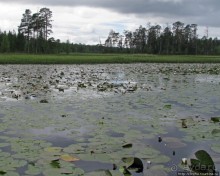 Поход на байдарках по реке Калга. Первые впечатления. Река.
