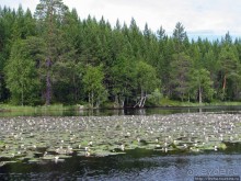 Поход на байдарках по реке Калга. Первые впечатления. Река.