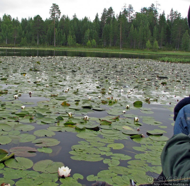 Поход на байдарках по реке Калга. Первые впечатления. Река.