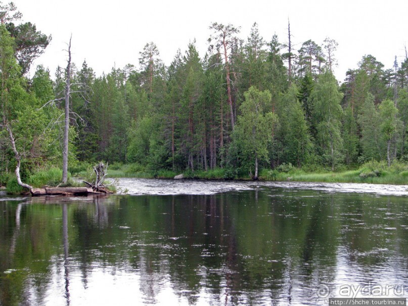 Поход на байдарках по реке Калга. Первые впечатления. Река.