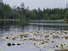 Поход на байдарках по реке Калга. Первые впечатления. Река.