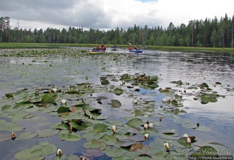 Поход на байдарках по реке Калга. Первые впечатления. Река.