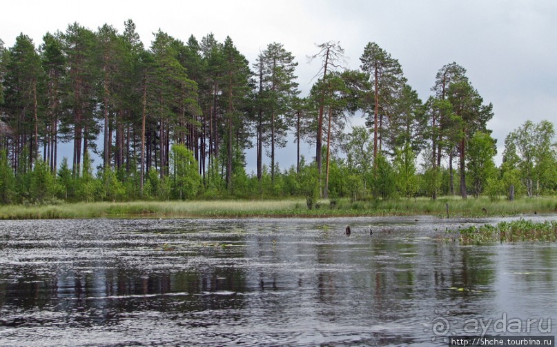 Поход на байдарках по реке Калга. Первые впечатления. Река.