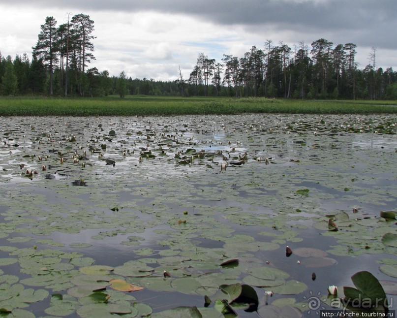 Поход на байдарках по реке Калга. Первые впечатления. Река.