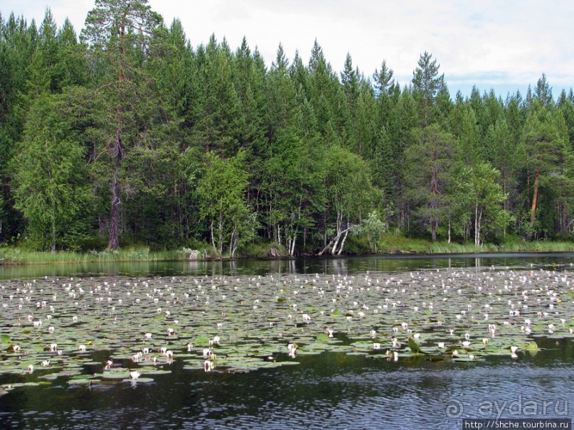 Поход на байдарках по реке Калга. Первые впечатления. Река.