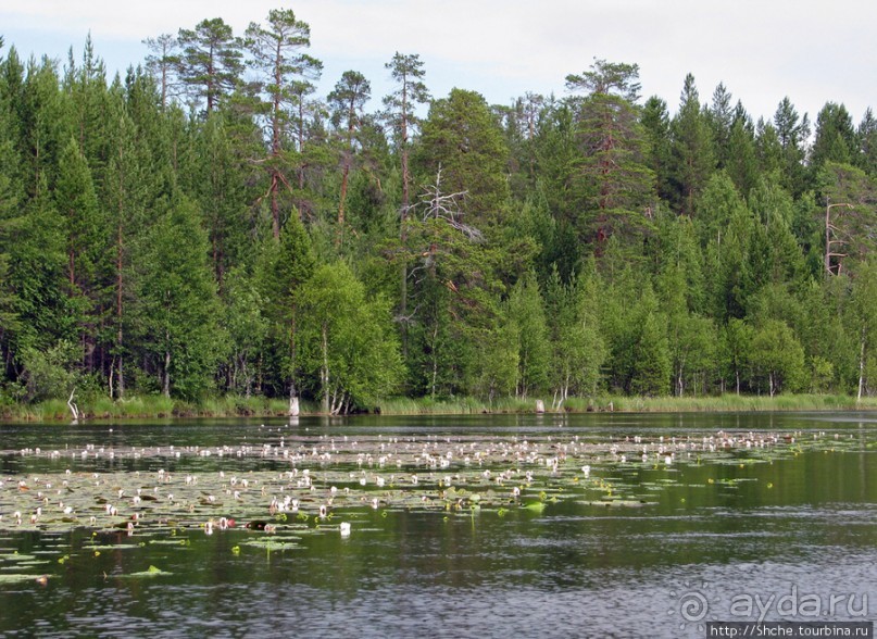 Поход на байдарках по реке Калга. Первые впечатления. Река.