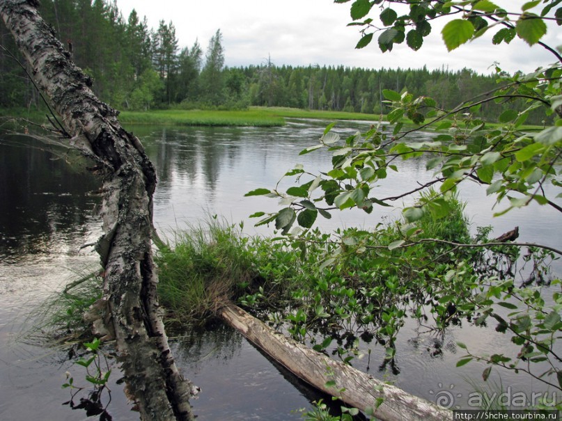 Поход на байдарках по реке Калга. Первые впечатления. Река.