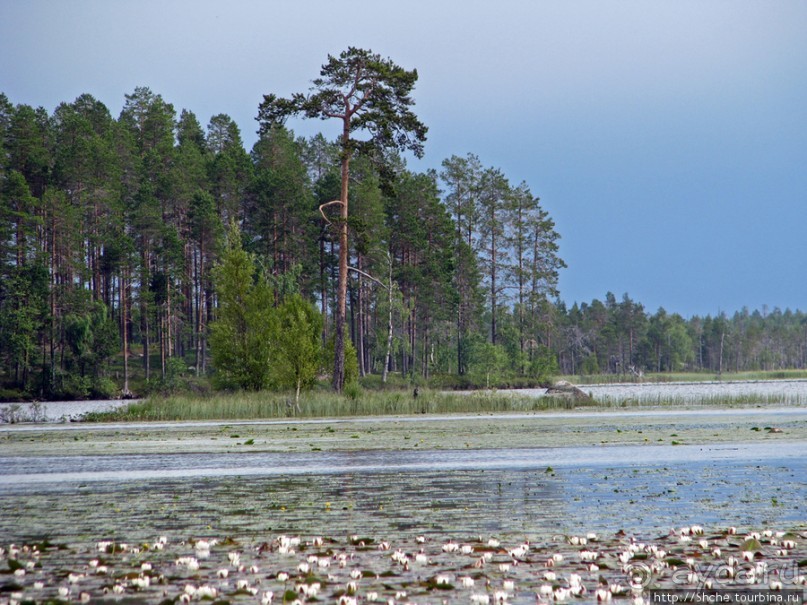 Поход на байдарках по реке Калга. Первые впечатления. Река.