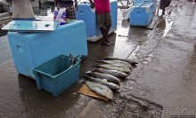 Новая жизнь старого порта Джибути