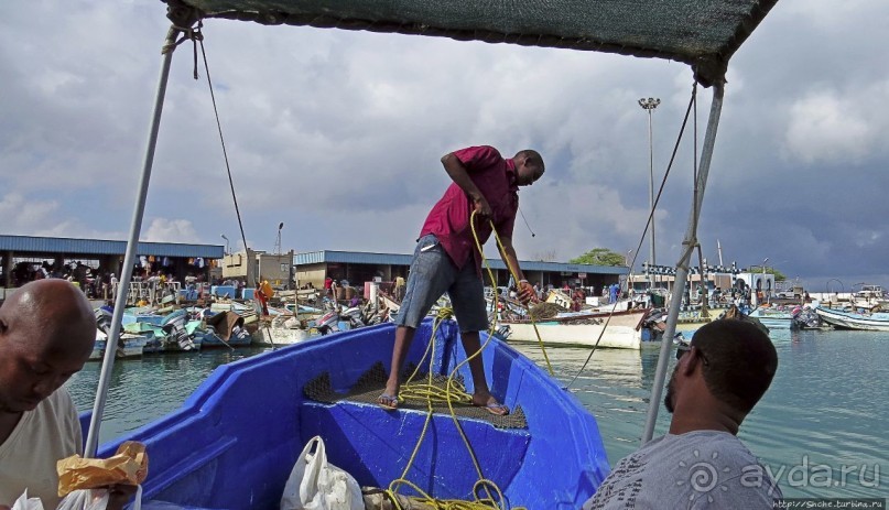 Новая жизнь старого порта Джибути