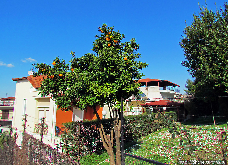 Греческая Ливадия — мать Ливадий российских