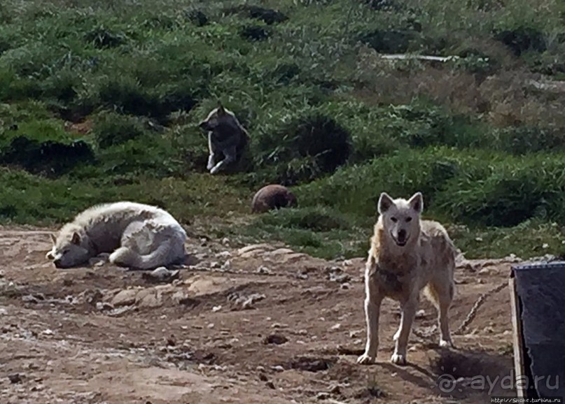 Туманные перспективы