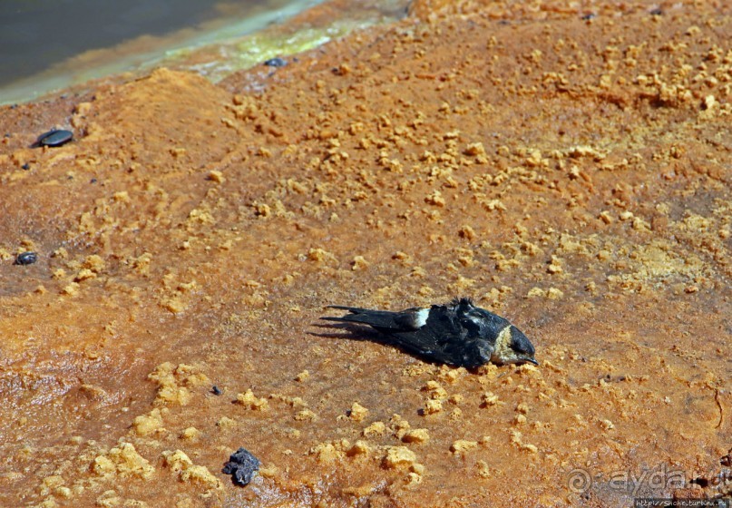 Кислотное "черное" озеро