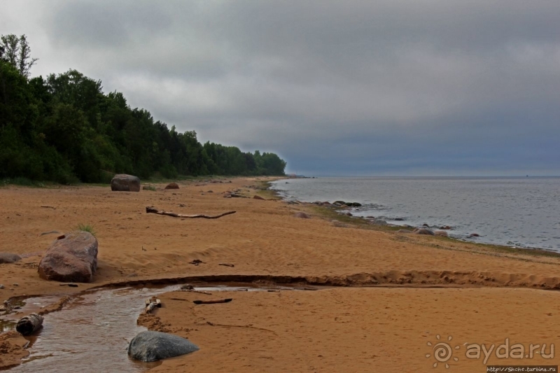 Камень. Нет, Большой камень — исполнитель желаний