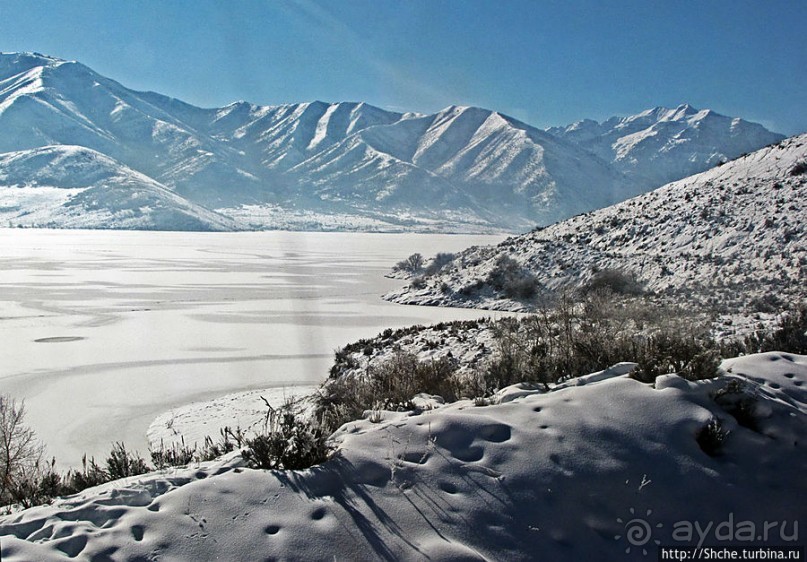 Замерзшие берега Дир Крик — поездка на исторической ж.д.