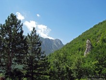 Природа национального парка Дурмитор, Черногория