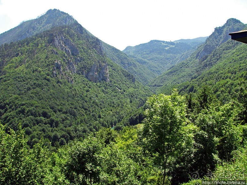 Природа национального парка Дурмитор, Черногория