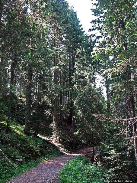 Природа национального парка Дурмитор, Черногория