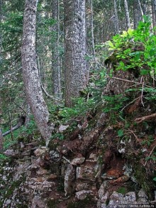 Природа национального парка Дурмитор, Черногория