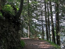 Природа национального парка Дурмитор, Черногория