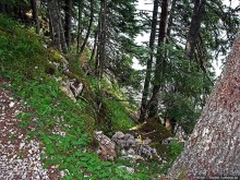 Природа национального парка Дурмитор, Черногория