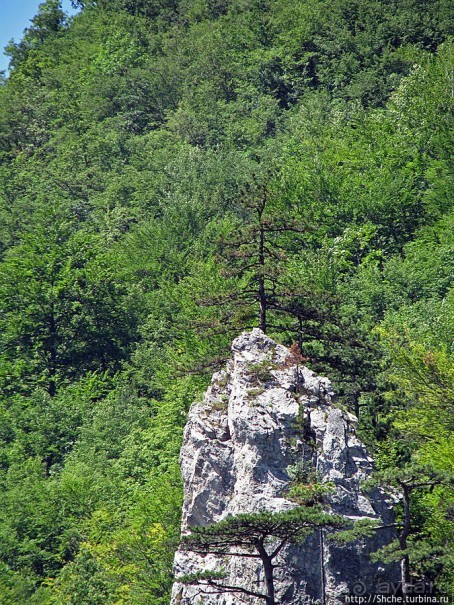 Природа национального парка Дурмитор, Черногория