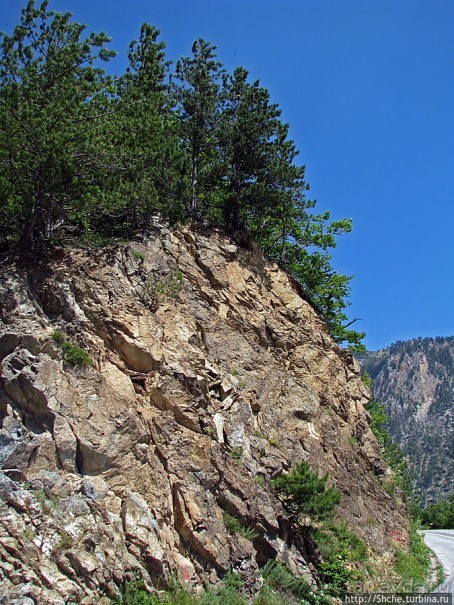 Природа национального парка Дурмитор, Черногория