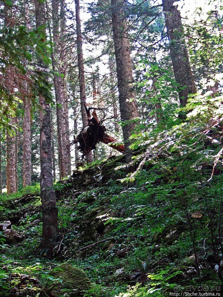 Природа национального парка Дурмитор, Черногория