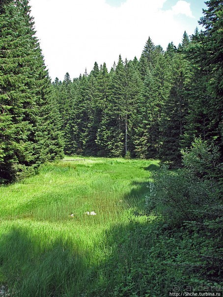 Природа национального парка Дурмитор, Черногория