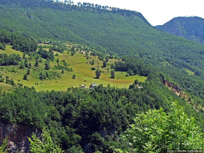 Природа национального парка Дурмитор, Черногория