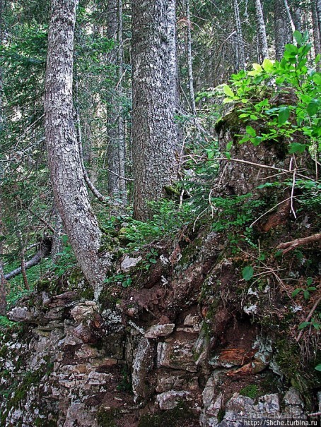 Природа национального парка Дурмитор, Черногория