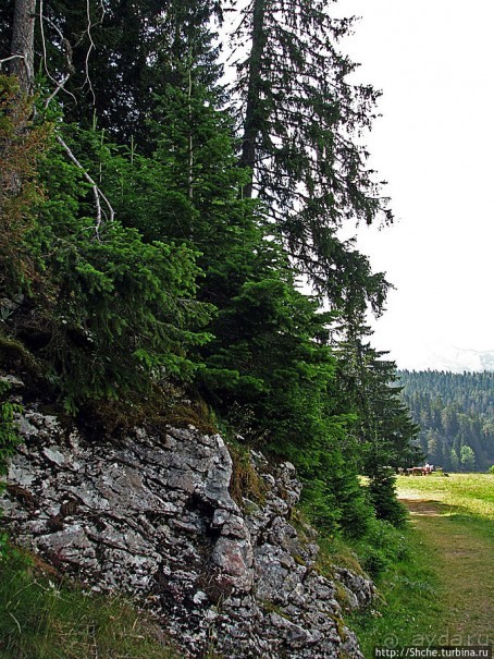 Природа национального парка Дурмитор, Черногория