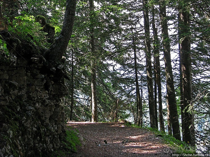 Природа национального парка Дурмитор, Черногория