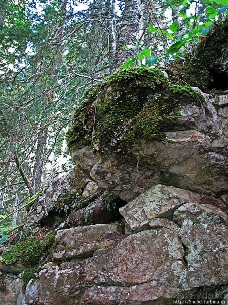 Природа национального парка Дурмитор, Черногория