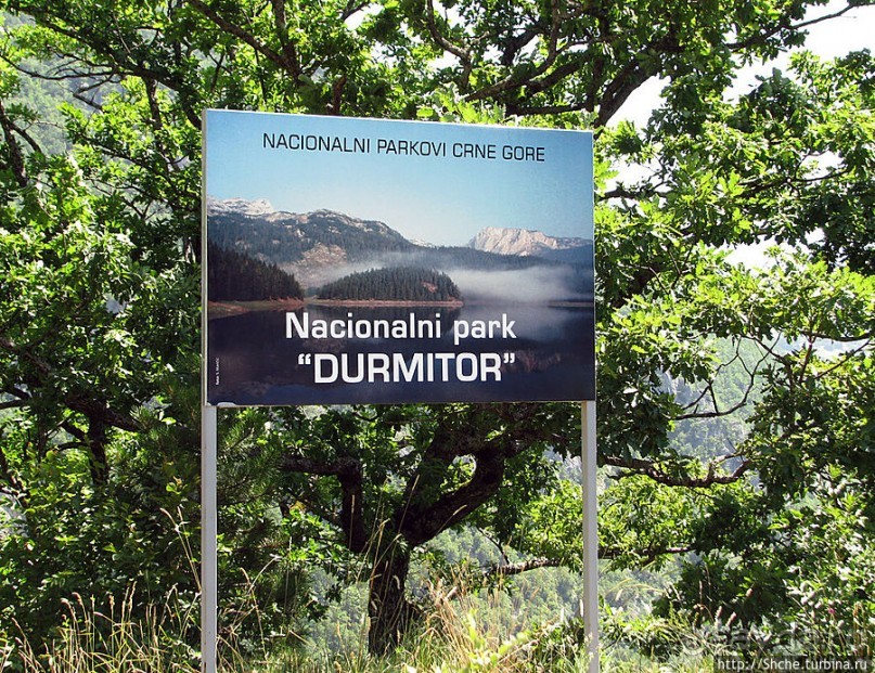 Природа национального парка Дурмитор, Черногория