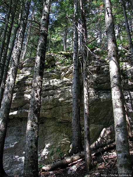 Природа национального парка Дурмитор, Черногория