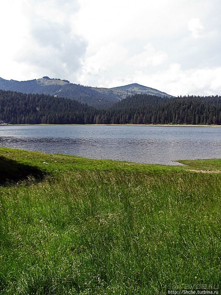 Природа национального парка Дурмитор, Черногория