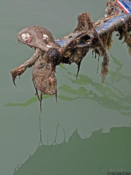 Здесь Вам не гондолы, здесь принцип иной