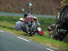 Мадагаскарские картинки. Окрестности Анцирабе