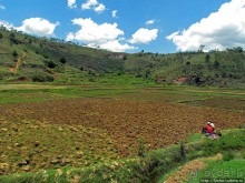 Мадагаскарские картинки. Окрестности Анцирабе