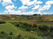 Мадагаскарские картинки. Окрестности Анцирабе