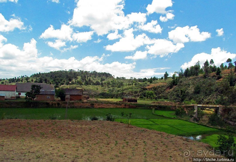 Мадагаскарские картинки. Окрестности Анцирабе