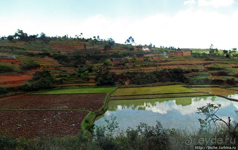 Мадагаскарские картинки. Окрестности Анцирабе