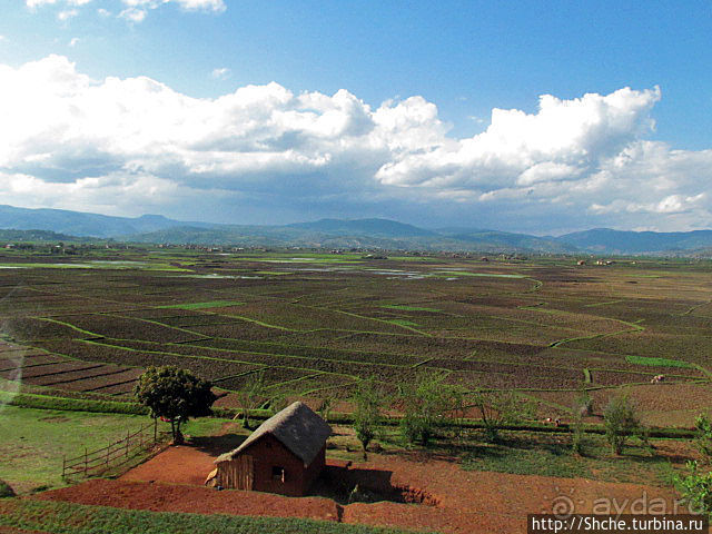 Мадагаскарские картинки. Окрестности Анцирабе