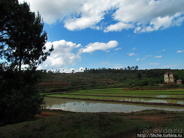 Мадагаскарские картинки. Окрестности Анцирабе