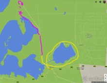 Слоны ушли на север