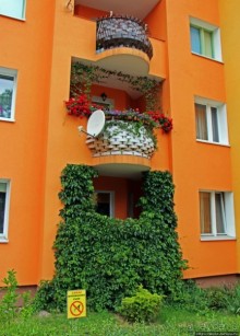 Замок, ратуша, площадь Рынок — обычный польский городок Явор