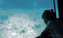 Хорошее подводное развлечение для детей и прабабушек