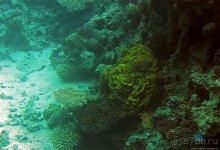 Хорошее подводное развлечение для детей и прабабушек